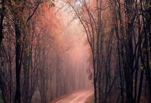 旺财28官网：穆西亚拉：在圣西罗赢得胜利不容易，我们在下半场心态发生了变化.