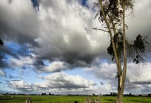 旺财28官网:拖欠沧州雄狮的资金大约1个亿 这笔钱很难到位.