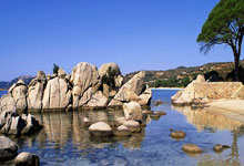 旺财28官网:篮协重磅官宣!2米26女中锋首次入选国家队,女篮崛起指日可待.